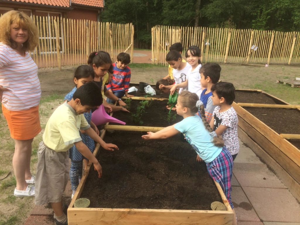 2016.06.02 - SLK plfanzt Erdbeeren 01